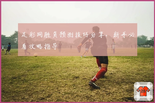 足彩网胜负预测技巧分享，新手必看攻略指导
