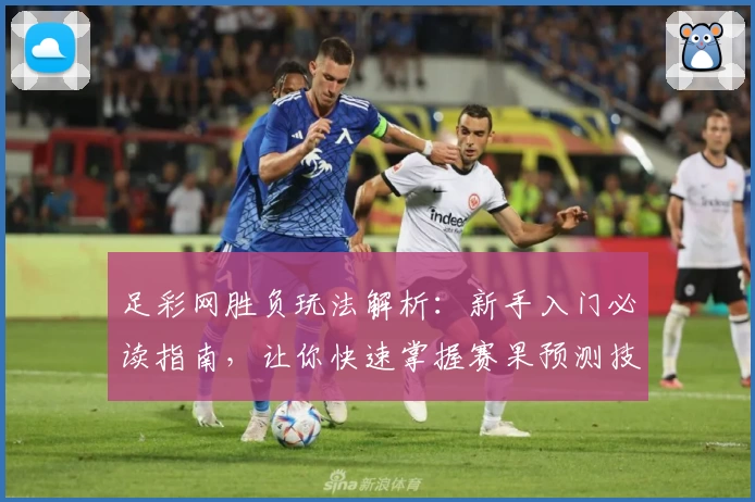 足彩网胜负玩法解析：新手入门必读指南，让你快速掌握赛果预测技巧