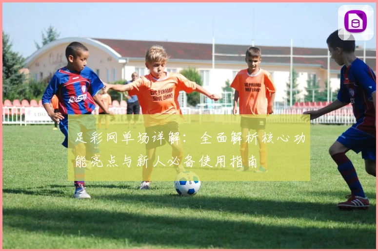 足彩网单场详解：全面解析核心功能亮点与新人必备使用指南