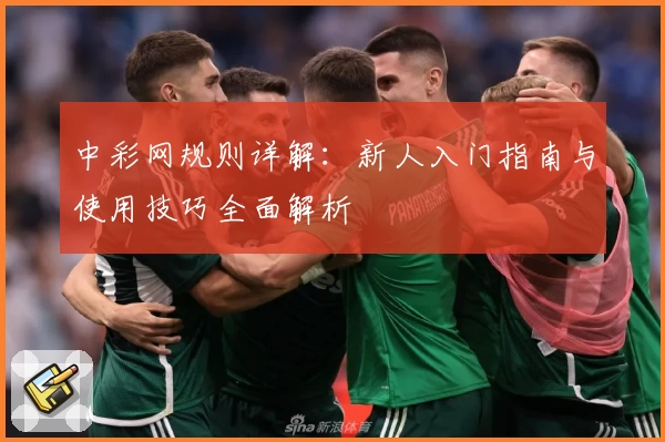 中彩网规则详解：新人入门指南与使用技巧全面解析