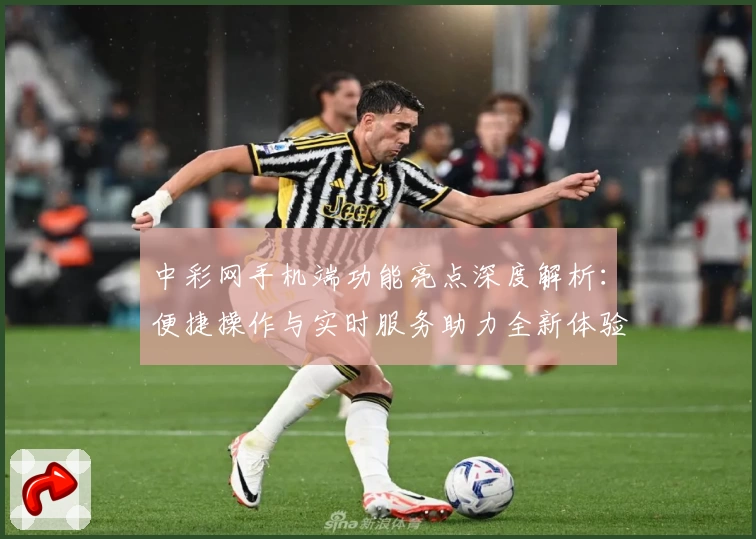 中彩网手机端功能亮点深度解析：便捷操作与实时服务助力全新体验