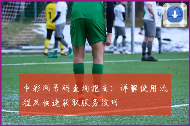 中彩网号码查询指南:详解使用流程及快速获取服务技巧