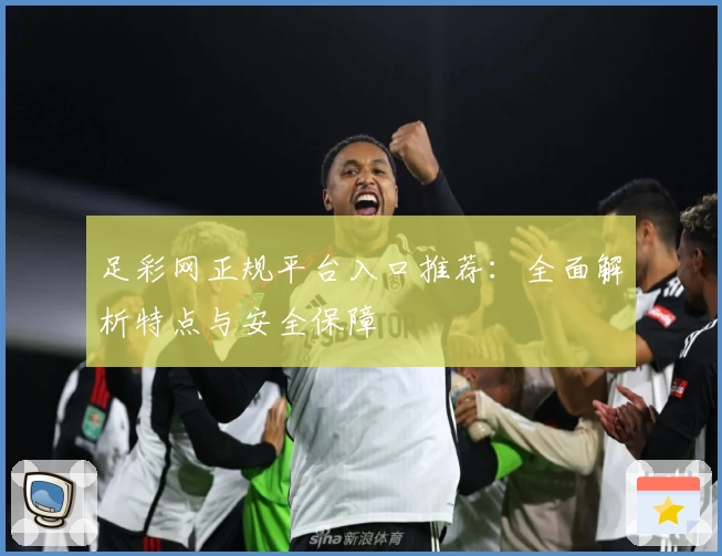 足彩网正规平台入口推荐:全面解析特点与安全保障