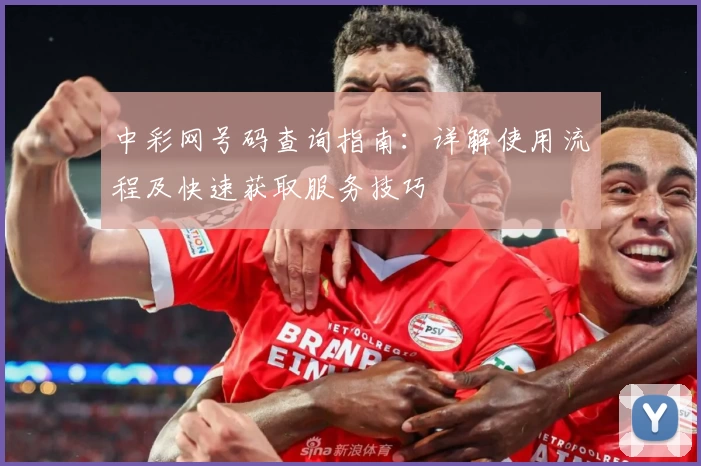 中彩网号码查询指南:详解使用流程及快速获取服务技巧